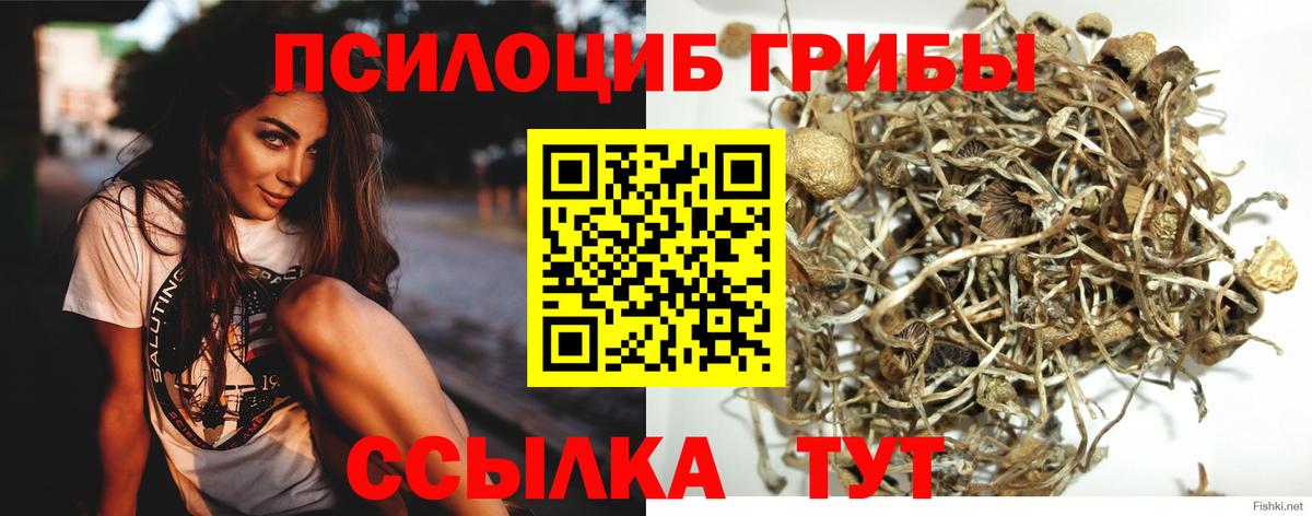 Кыштым  Псилоцибиновые грибы MAGIC MUSHROOMS  Вход с VPN 
